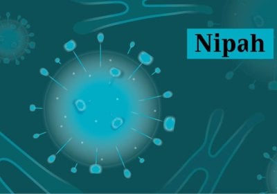 Graphical illustration of nipah virus using blue colours.