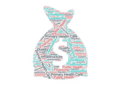Graphic of words associated with financing primary healthcare in money bag shape