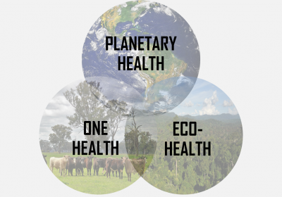 Three images set in a venn diagram layout showing earth for planetary health, cattle for one health and a rainforest for eco-health