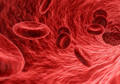Red blood cells. Credit: Pixabay/Arek Socha