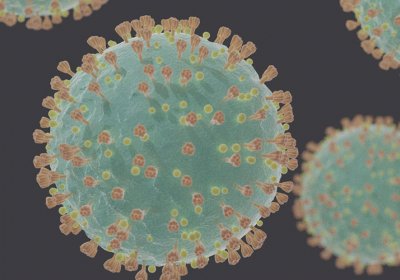 Coronavirus SARS-CoV-2. Credit: Felipe Esquivel Reed/Creative Commons