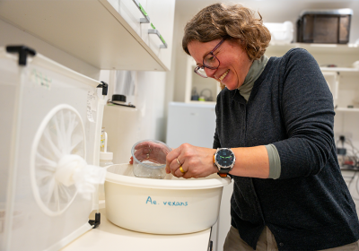 Dr Mojca Kristan working in the LSHTM insectaries