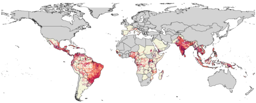 Map representing risk of chikungunya transmission based on available data and at-risk areas. The darker the shading, the higher the risk. Credit: Kang H et al.