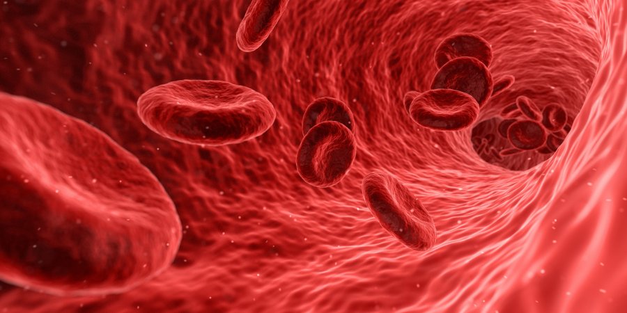 Caption: Blood Cells. Credit: Areka Socha/Pixabay