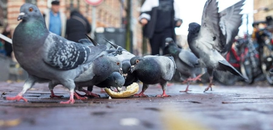Photo credit: University of Oxford