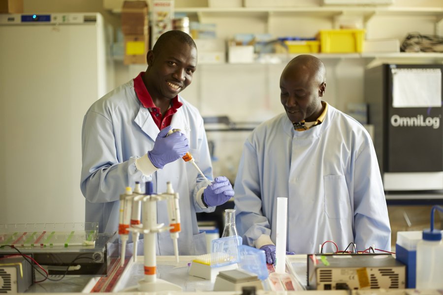 Genetic Study Reveals Insights to Chronic Kidney Disease Biomarkers in Africa img