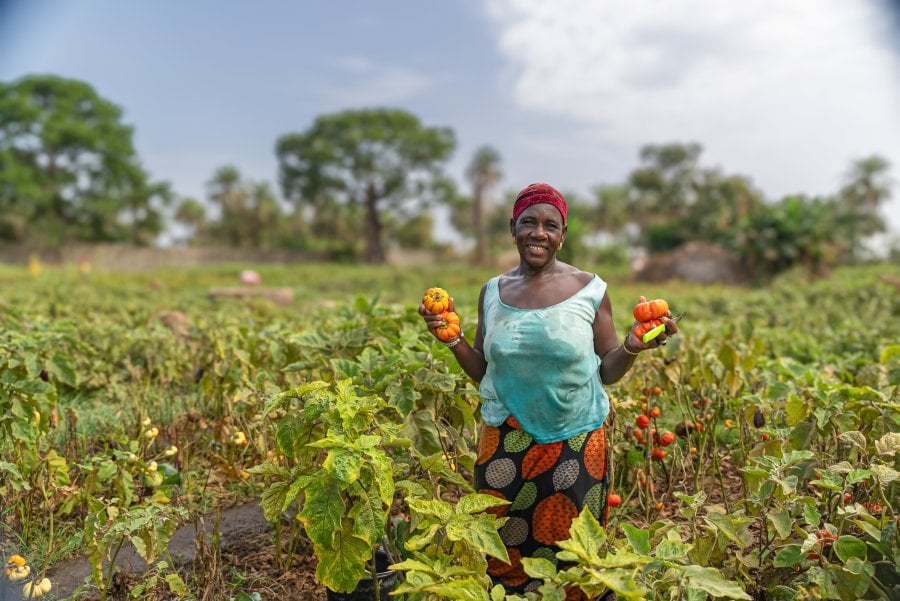A woman in a garden holding fruits