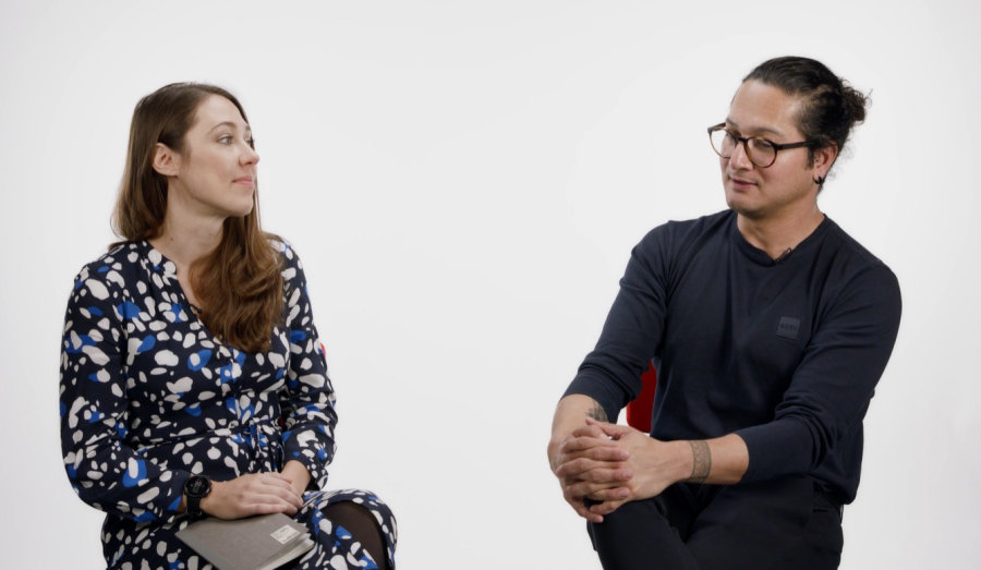 Demography and Health interview