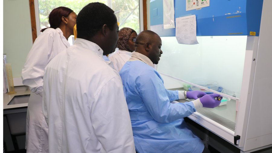 Caption: Dr Alfred Amambua-Ngwa and some of his team. Credit: MRC Unit The Gambia at LSHTM