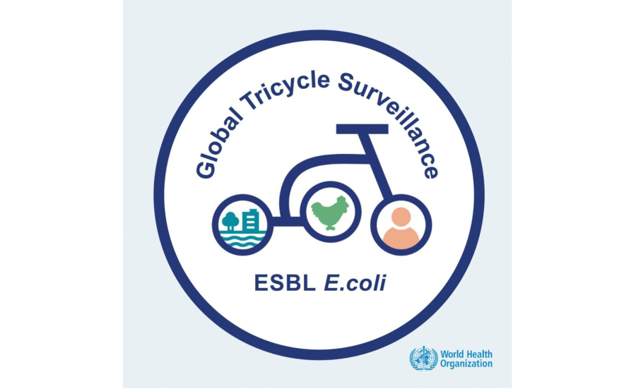 global tricycle surveillance image - with WHO logo at the bottom