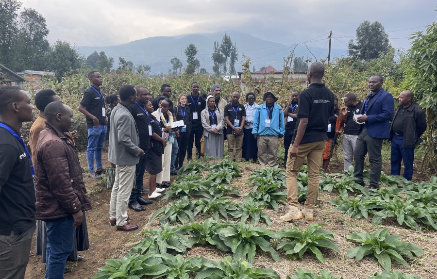 A group of black men and women stand around a patch of vegetables
