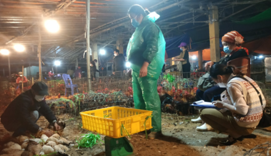 Night market sampling in Vietnam 