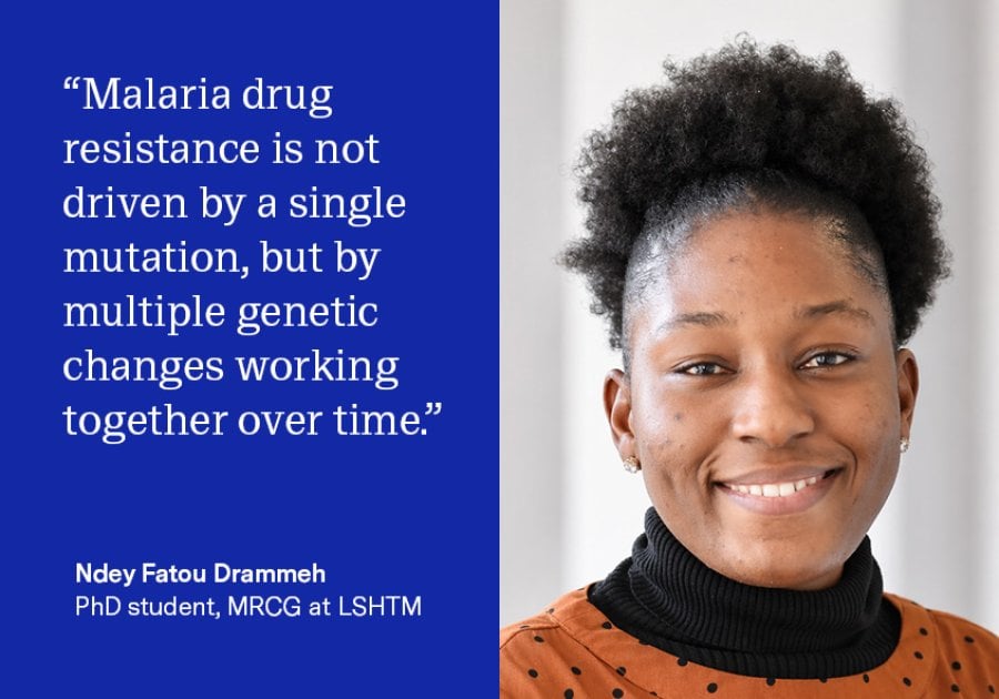 “Our findings show that malaria drug resistance is not driven by a single mutation, but by multiple genetic changes working together over time. By analysing three decades of data, we have been able to see how these adaptations emerge, spread and persist even when drug use changes, highlighting the need for sustained surveillance and more adaptable treatment strategies.” - Ndey Fatou Drammeh, a PhD student at LSHTM