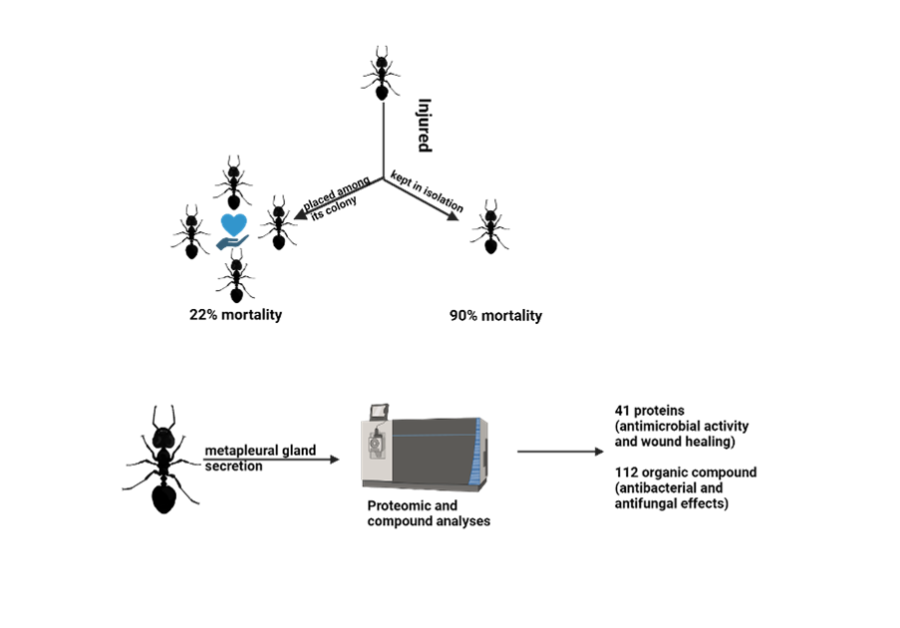 new "Ant"imicrobials