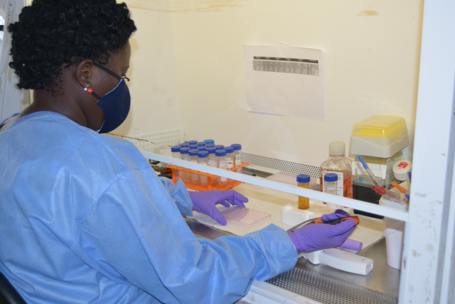 A scientist setting up experiments to a measure the amount anti-COVID protective antibodies in volunteer blood samples 