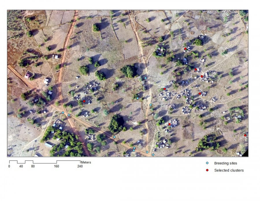 Figure 1. Aerial imagery collected by unmanned aerial vehicle (UAV or drone) of households and larval habitats for the INDIE malaria project in Sapone, Burkina Faso (credit: Nombre Apollinaire and Kimberly Fornace)
