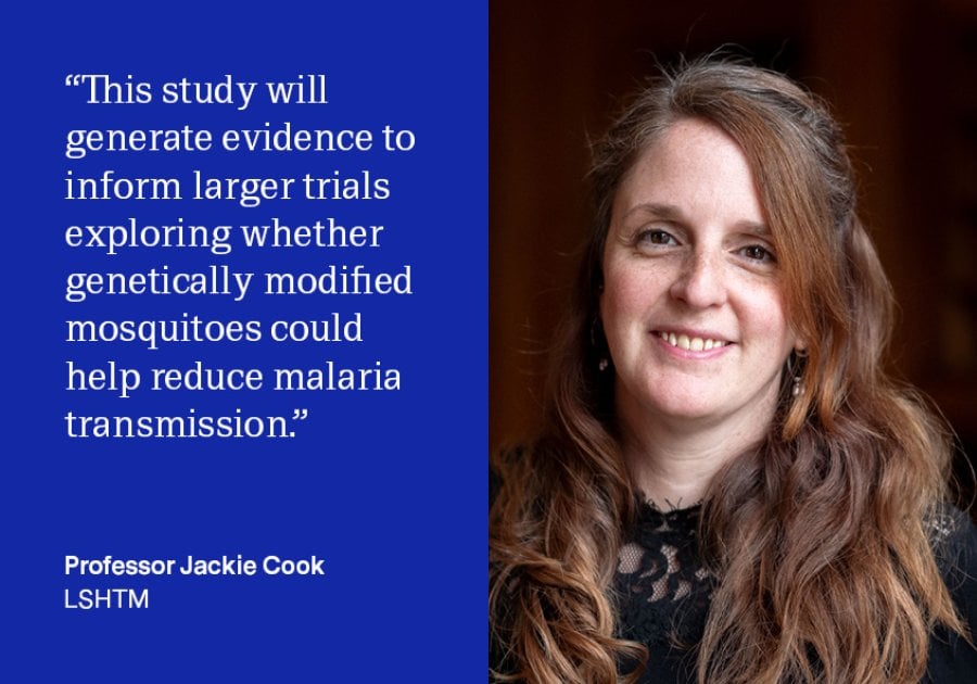 “The findings will help inform larger studies exploring whether genetically modified mosquitoes could offer a new approach to malaria control" -Prof Jackie Cook
