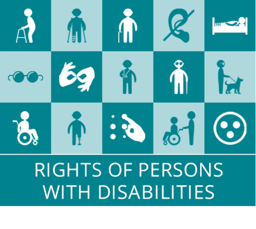 &quot;Rights of persons with disabilities&quot; from Council of Europe (2020)