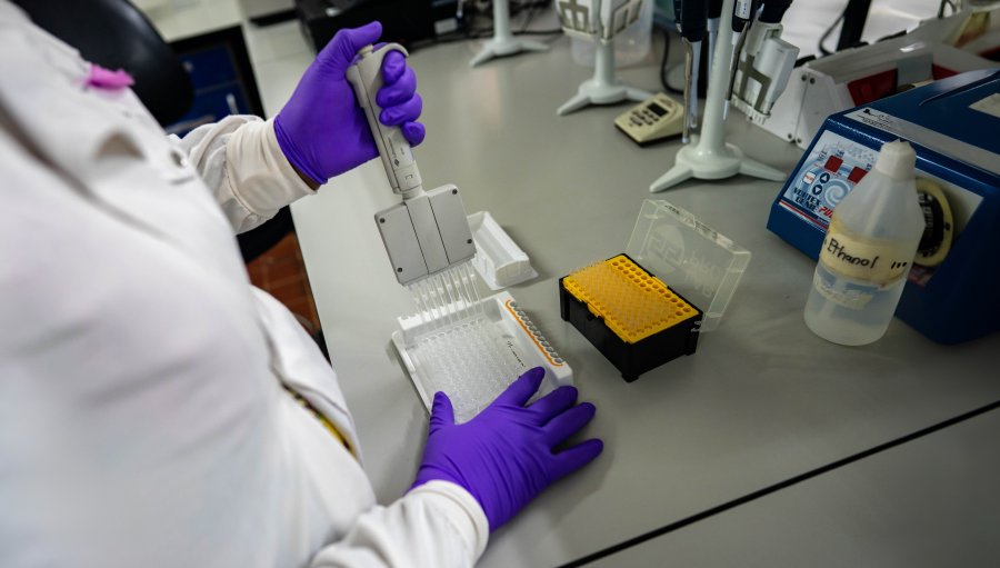 A technician runs tests in the laboratory, Fajara MRC Unit The Gambia at LSHTM.
