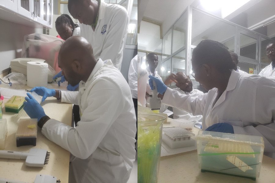 Dr Ebenezer Foster-Nyarko of the Holt group (second from left, Pic.2), LSHTM, training Scientists at the University of Cape Coast in DNA extraction methodology.