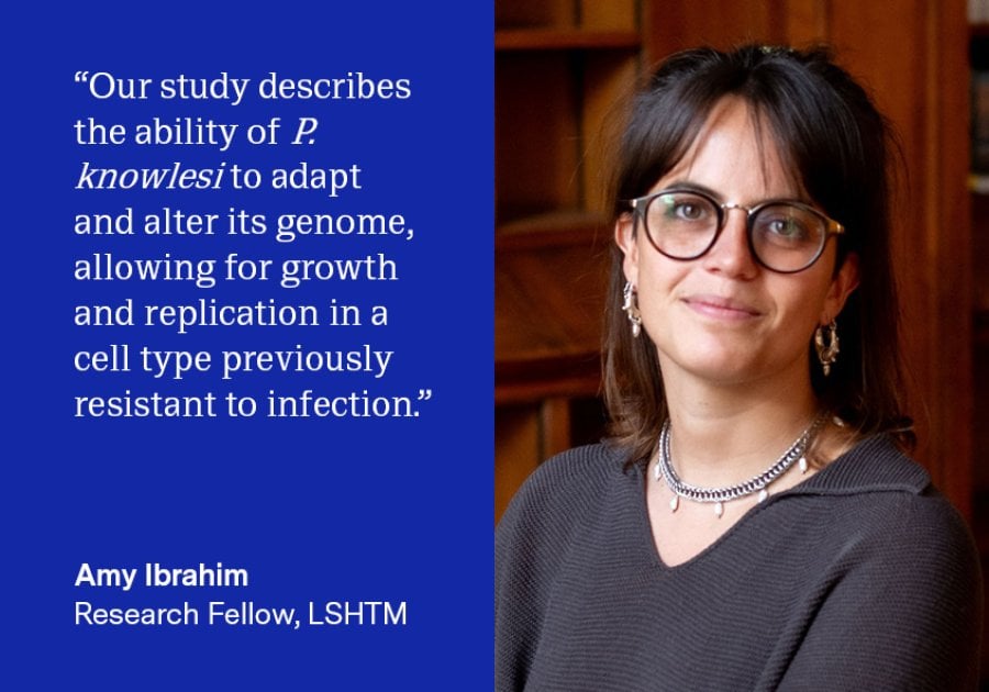 "Our study describes the ability of P. knowlesi to adapt and alter its genome, allowing for growth and replication in a cell type previously resistant to infection.   “Whilst a useful finding for investigating malaria infections in Duffy-negative individuals, this study demonstrates the remarkable adaptability of Plasmodium parasites in response to their environment. “ - Amy Ibrahim, Research Fellow, LSHTM