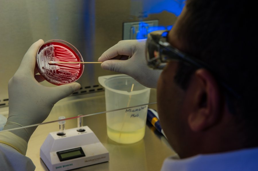 This photograph depicted an Enteric Diseases Laboratory Branch (EDLB) public health scientist, preparing foodborne bacteria for a DNA fingerprinting test