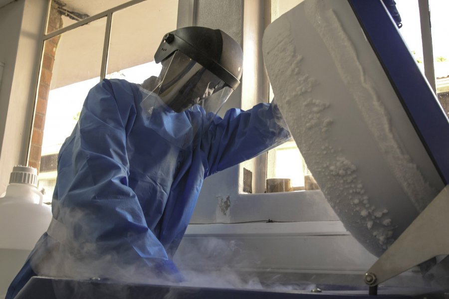 Geoffrey Odoch, a Lab Technician at the MRC/UVRI &amp; LSHTM Uganda Research Unit removes frozen samples from storage in liquid nitrogen in the Unit&#039;s biohazard level 3 laboratories. Credit: Magdalena Bondos