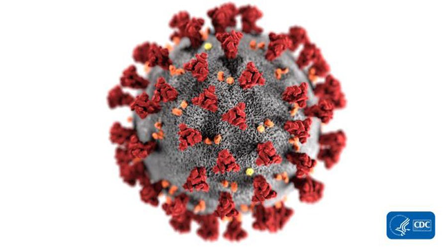 Caption: illustration of coronavirus. Credit: CDC/Alissa Eckert