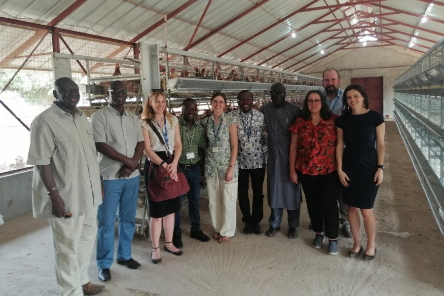 FACE-Africa project team in a commercial poultry farm in the Gambia in 21st January 2020 during project launch