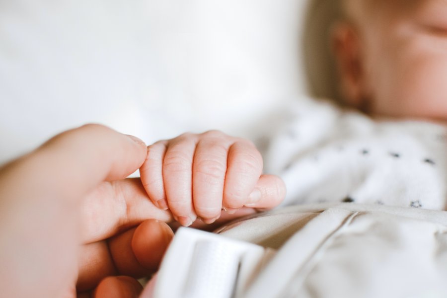 Person holding baby&#039;s hand. Credit: Pexels/Lisa Fotios