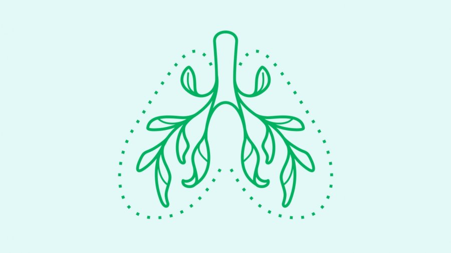graphic of green lungs with leaves for bronchioles