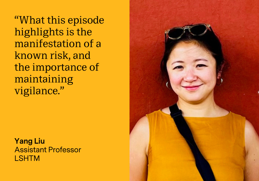 Yang Liu: What this episode highlights is the manifestation of a known risk, and the importance of maintaining vigilance.