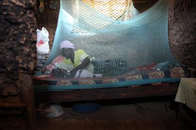 Woman and child in bednet