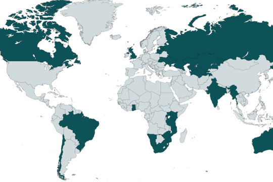 Figure 2: Countries that members of the Management Team have worked in.