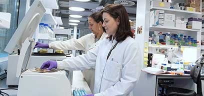 lab work