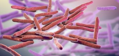 Mycobacterium leprae bacteria, the causative agent of leprosy