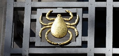 Golden lice on Keppel Street building