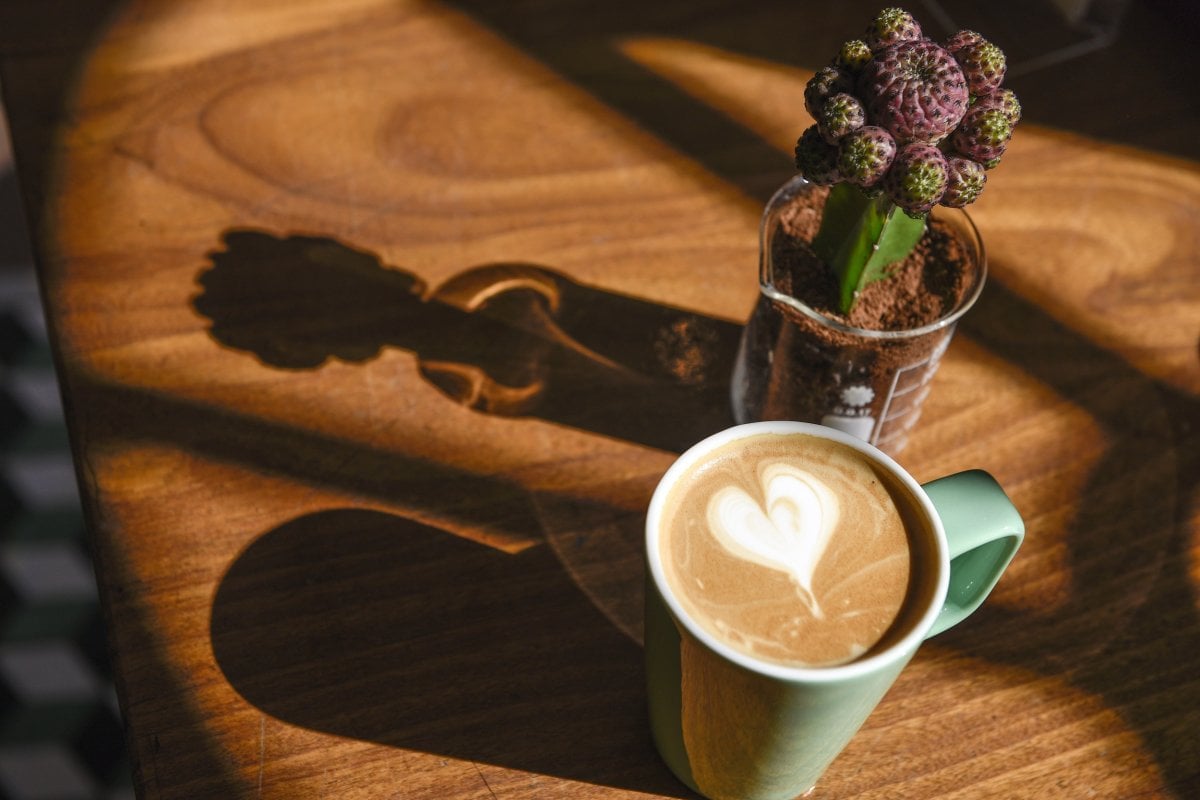 image of cactus and coffee