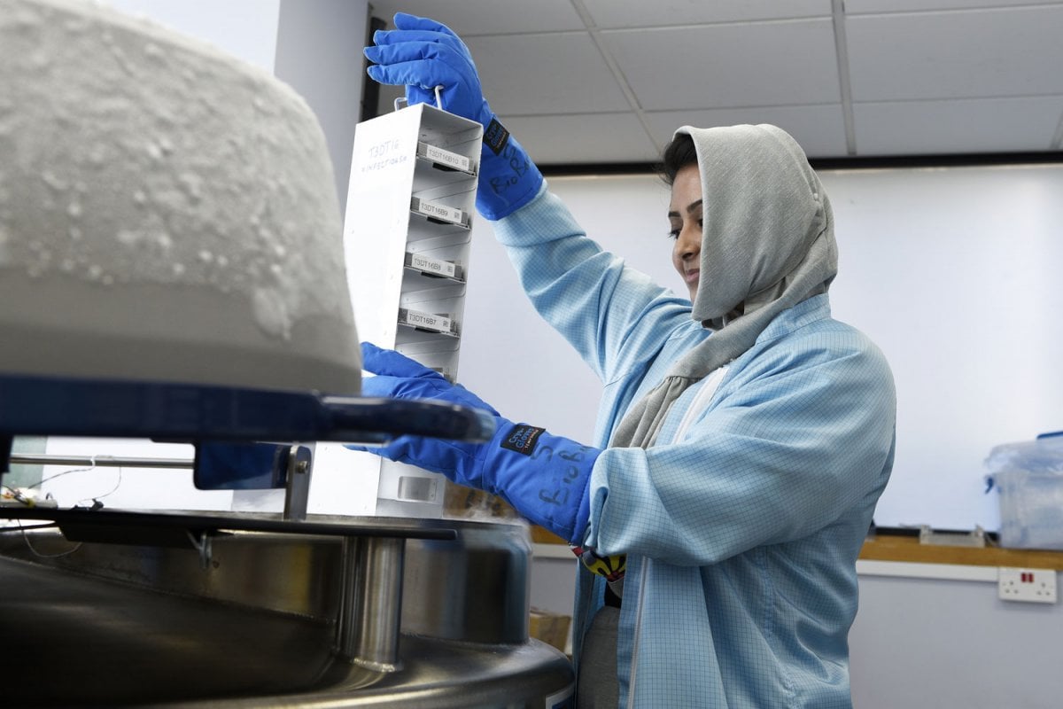 Storing samples in the UKMEB. Credit Anne Koerber Storing samples in the UKMEB