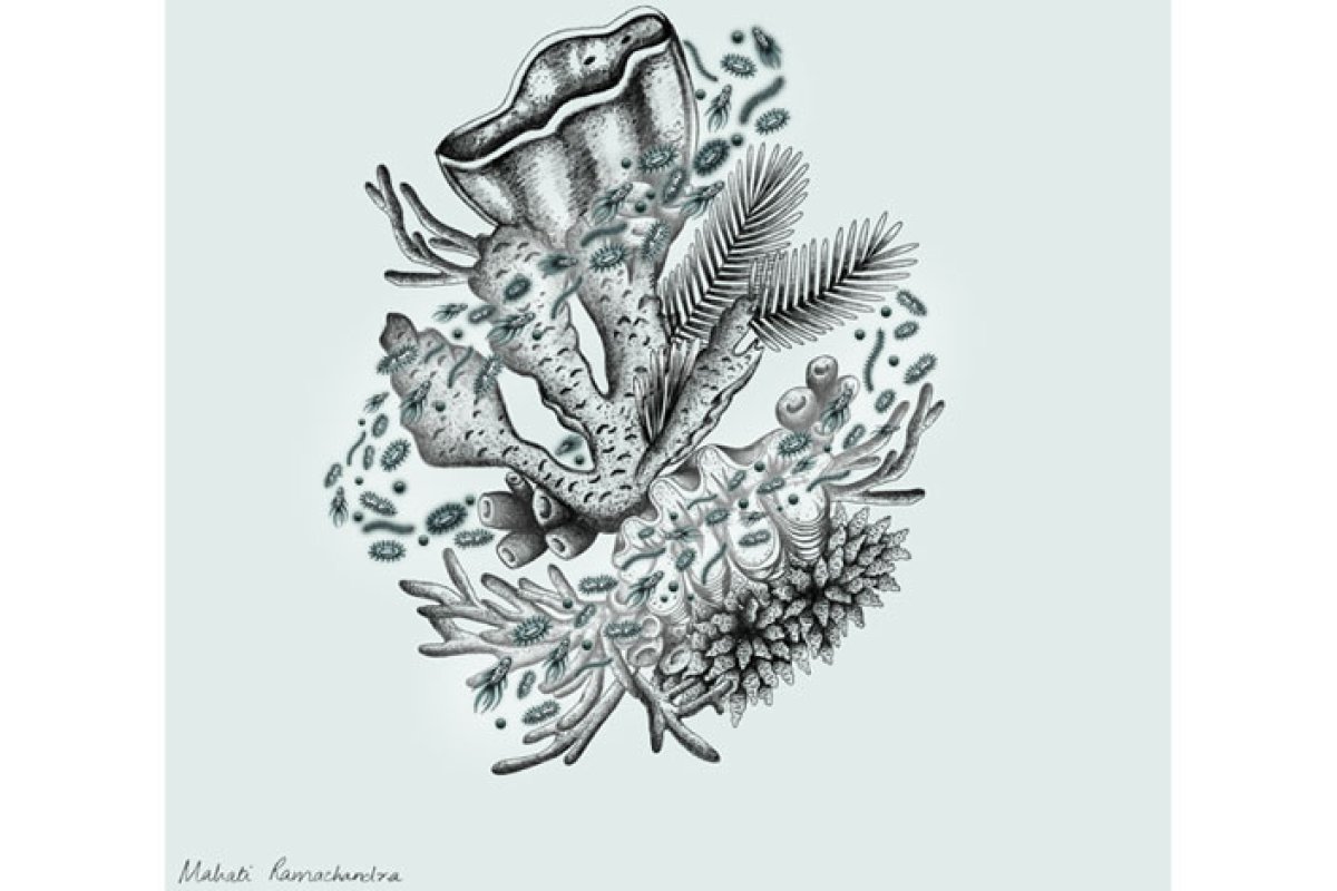 Coral Relief piece by Mahati Ramachandra