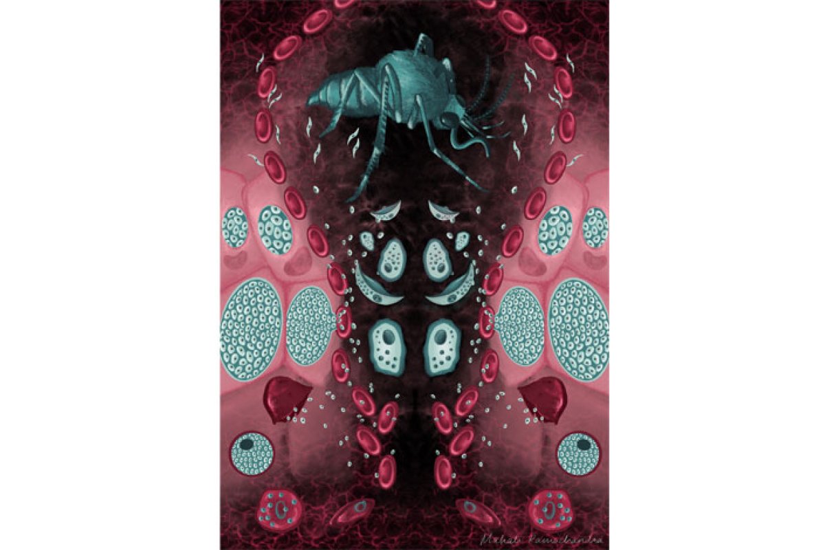 Malarial Odyssey piece by Mahati Ramachandra