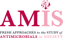 Amis Logo