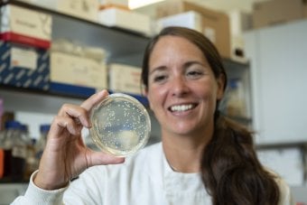 A Scientist holding a petri dish