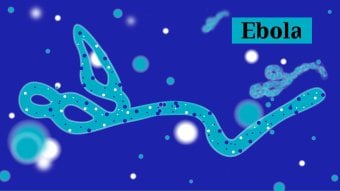 Graphical depicition of Ebola virus. Credit LSHTM