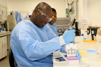 PhD student working in the molecular biology laboratory. Credit: Mamud Joof, MRC Gambia