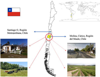 Study location: Maule region is located in Chile's central-southern zone, where the rural-agricultural town of Molina is situated.