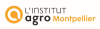 Yellow circle with a white shape inside - logo of L'institut agro Montpellier
