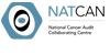 Natcan logo