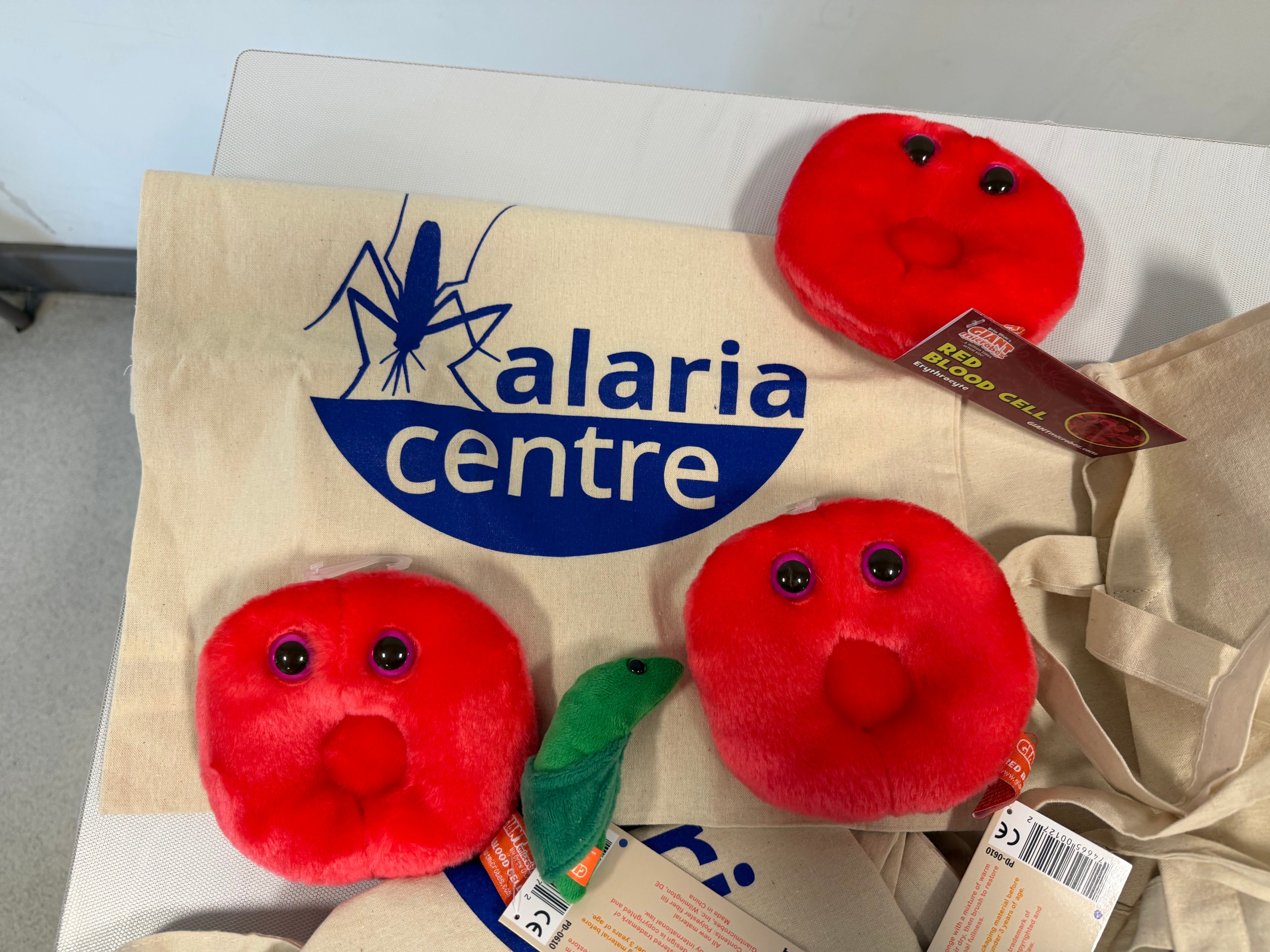 Tote bags and plushies for students of William Perkin CofE High School