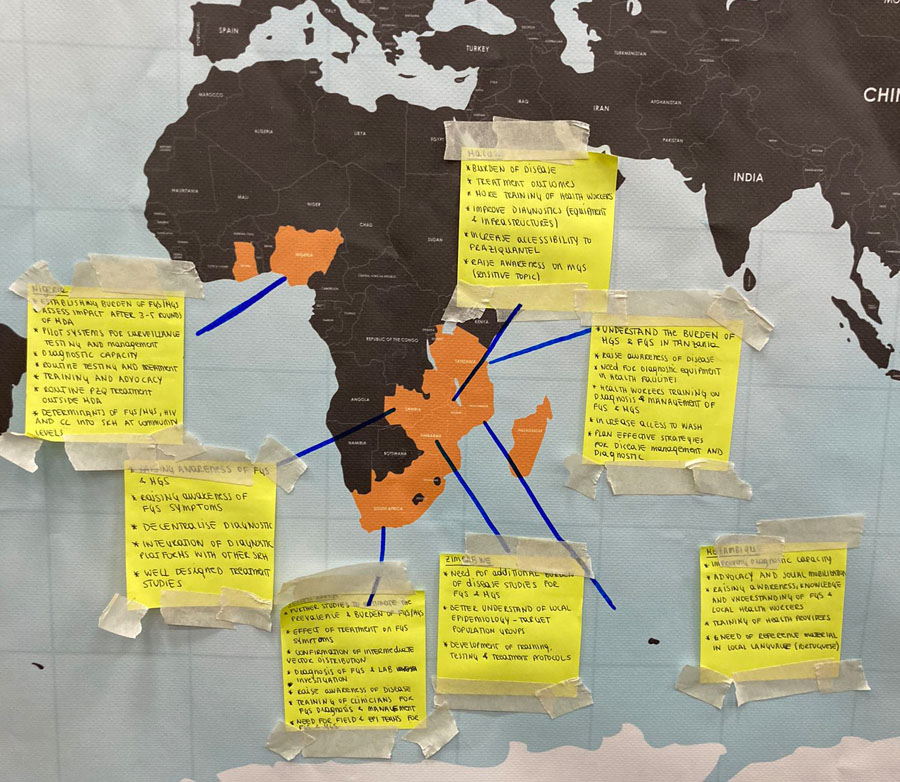 Map with post its showing research country needs identified by delegates